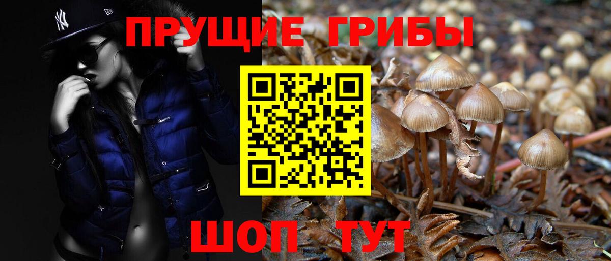 Галлюциногенные грибы ЛСД  Псилоцибиновые грибы Magic Shrooms  Москва  Вход с VPN 