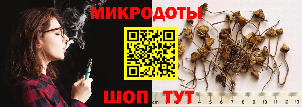 Галлюциногенные грибы прущие грибы Москва